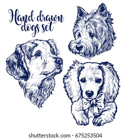 hand drawn line art ink sketch dog portrait set golden retriever, setter and westie on white background stock vector illustration
