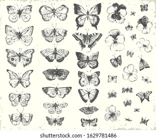 Hand drawn line art insects and flowers set. Butterflies and pansy heads ink illustration for holiday card or  romantic background.