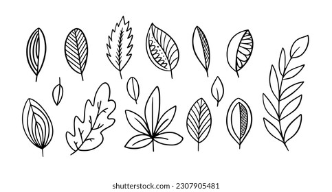 Hand drawn line art leaf set. Black color single line sketch art vector illustration. Isolated objects on white background.