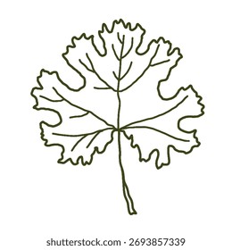 handgezeichnetes Strichblatt