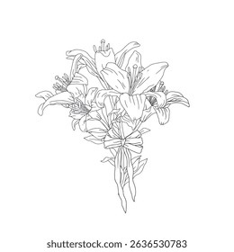 Hand drawn line art monochrome lily flowers beautiful romantic bouquet with cute bow knot. Botanical vector illustration isolated on white.