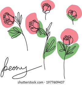 hand drawn Line art monoline flowers . Vector illustration