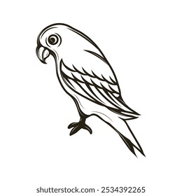 Hand Drawn Line Art Parrot Illustration - 05