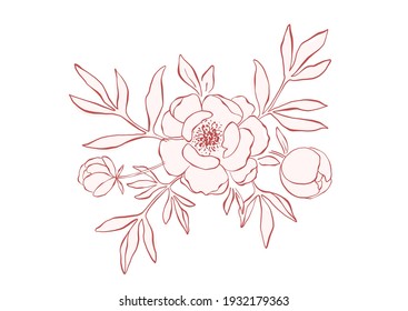 Hand drawn line art peony arrangement. Elegant floral composition for wedding design and romantic holiday. Line art pink peony bouquet. Botanical hand drawn design element isolated on white background