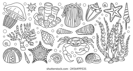 Conjunto de Elementos de vida marina de arte de línea dibujada a mano. Animales acuáticos, anémonas, cangrejos, algas, conchas, estrellas de mar, plantas de arrecifes de coral. Libro para colorear de ecosistema submarino de estilo doodle de moda. Ilustración vectorial