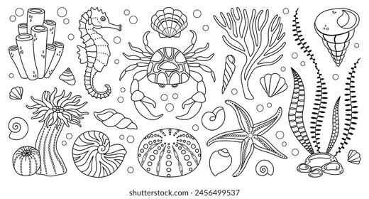 Hand drawn line art sea life elements set. Aquatic animals, anemones, crab, algae, shells, starfish, coral reef plants. Trendy doodle style underwater ecosystem coloring book. Vector illustration