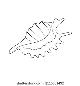 Hand drawn line art seashell. Isolated vector illustration 