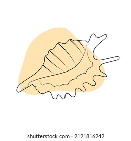 Hand drawn line art seashell and beige abstract shape. Isolated vector illustration 