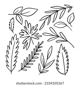 Hand drawn line art sign set autumn leaf and leaves. Black color vector illustration isolated on white background.