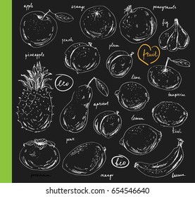 Hand drawn line art sketch fruits. Apple, orange, fig, pineapple, pear, mango, lime, plum, apricot, peach, kiwi, banana, pomegranate, persimmon.