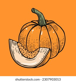 Hand drawn line art style pumpkin food sign. Cartoon art vector illustration isolated on orange background.