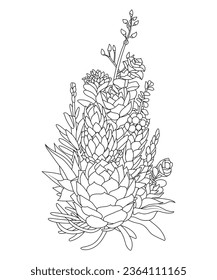 Hand drawn line art succulent and cactus bouquet coloring book page illustration for adults. Illustration isolated on white background. Perfect for coloring book, invitation, greeting card, print.