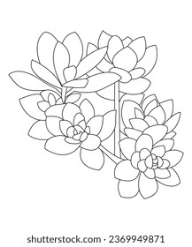 Hand drawn line art succulent illustration Coloring book page antistress for children and adults. Vector isolated on white background. Perfect for coloring book, invitation, greeting card, print.