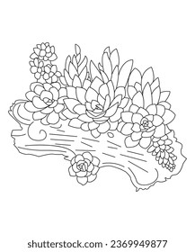 Pintura de línea de mano ilustraciones suculentas Antirestrés de la página del libro Coloring para niños y adultos. Vector aislado sobre fondo blanco. Perfecto para colorear libro, invitación, tarjeta de saludo, imprimir.