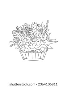 Hand drawn line art succulents with half wine barrel planter coloring page illustration for adults. Black and white illustration. Perfect for coloring book, invitation, greeting card, print.