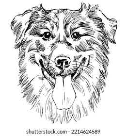 Hand drawn line art vector illustration of dog portrait isolated on white.