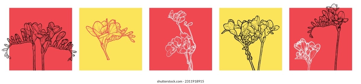 Hand drawn line art vector freesias on square format for social media visuals.