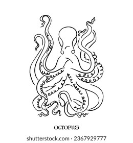 hand drawn line art vector of Octopus.