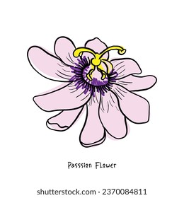 Hand drawn line art vector of passion flower