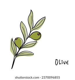 Vector artístico de línea dibujada a mano de oliva