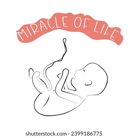 hand drawn line art vector of miracle of life. a new life concept. human life cycle.