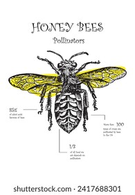 Hand Drawn Line Art Vector of Honey Bees. Beekeeping Art. 