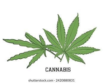 Hand drawn line art vector of Cannabis Leaves. Drug Abuse. Cannabis Awareness Campaign.