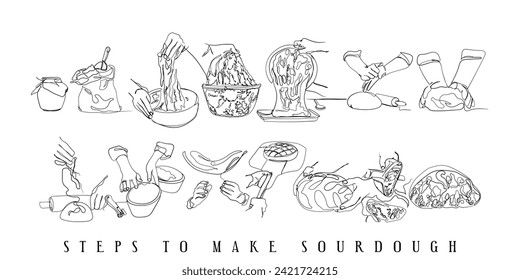 hand drawn line art vector of sourdough preparation process. 