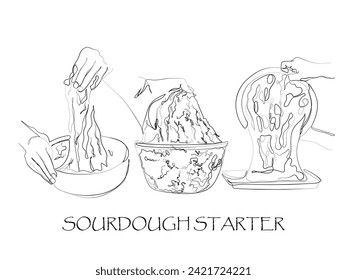 hand drawn line art vector of sourdough preparation process. 