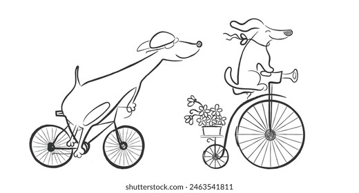 Hand drawn line art vector of cute dogs riding bicycle. Dogs on ride. 