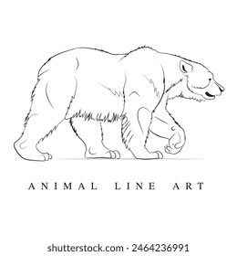Hand drawn line art, Vector outline art of bear, An illustration of Grizzly bear