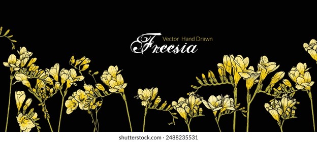 Hand drawn line art vector freesia on black background. Yellow freesia for online and print projects. 