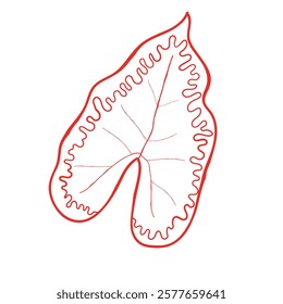 hand drawn line art vector of leaf art. Retro style free hand art of plants elements.