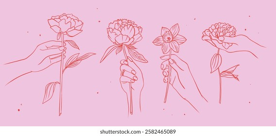 Hand drawn line art vector illustrations of hands holding flowers, including peonies and daffodils, on a soft pink background, perfect for floral and nature-themed designs.