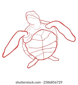 Hand drawn line art vector of a turtle. Retro style tortoise drawing.