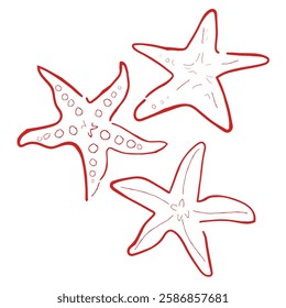 hand drawn line art vector of star fish. Under the sea illustrations elements.