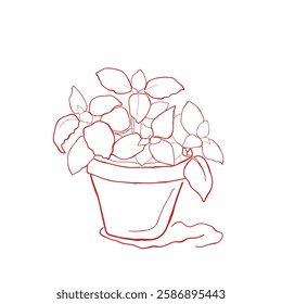 hand drawn line art vector of a plant pot. Plant in a pot retro art.