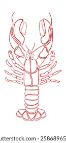 hand drawn line art vector of a lobster. Lobster retro clip art.