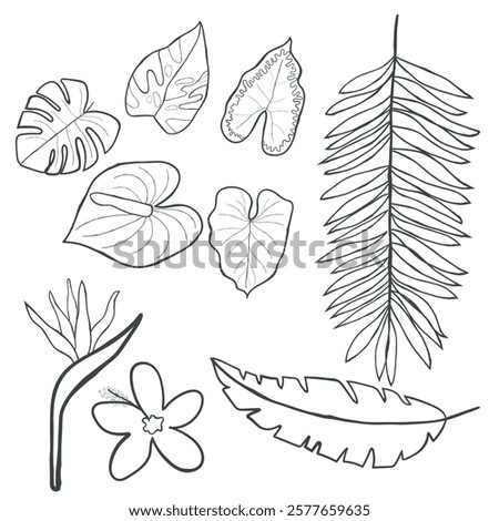 hand drawn line art vector of leaf art. Retro style free hand art of plants elements.