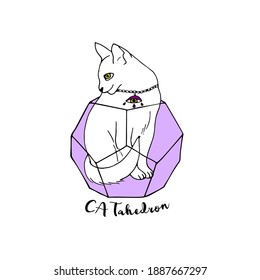 Hand drawn line art witch magical cat sitting inside sacred geometry figure with text catahedron. Magic and witchcraft vector illustration.