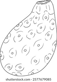 Hand drawn, line, coloring pages vector Opuntia fruit, prickly pear cactus, Indian figs, Edible cactus	