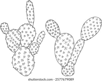 Hand drawn, line, coloring pages vector Opuntia fruit, prickly pear cactus, Indian figs, Edible cactus	