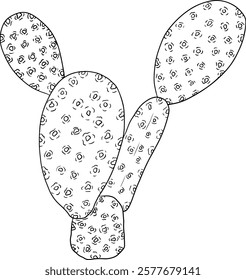 Hand drawn, line, coloring pages vector Opuntia fruit, prickly pear cactus, Indian figs, Edible cactus	