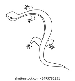 Hand drawn line continuous Lizard, chameleon isolated on white background. cartoon style vector illustration.