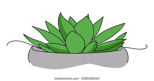 Hand drawn line continuous succulent house plant in pot. Outline drawing, botanical illustration. Flowerpot icon. Leaves silhouette. Minimal floral print, banner, card, poster, logo, sign, symbol.