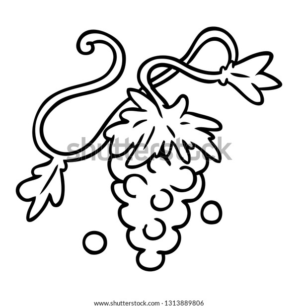 Hand Drawn Line Drawing Doodle Grapes Stock Vector Royalty Free 1313889806