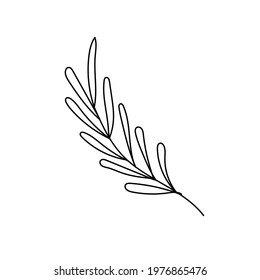 Hand drawn line drawing of a leaf. Vector illustration