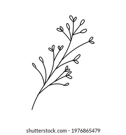 Hand drawn line drawing of a leaf. Vector illustration