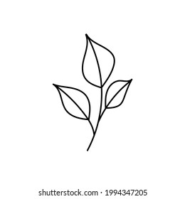 Hand drawn line drawing of a leaf. Vector illustration