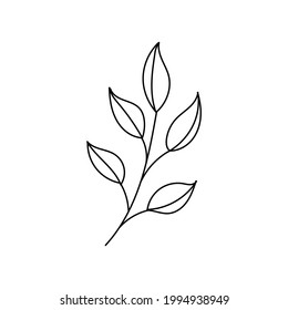 Hand drawn line drawing of a leaf. Vector illustration